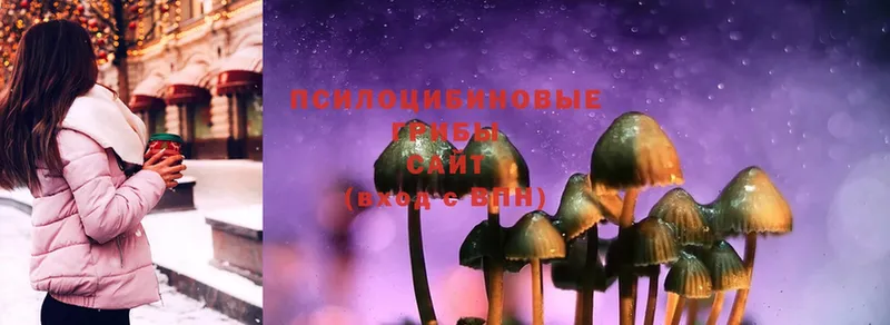 купить закладку  Нюрба  Галлюциногенные грибы Magic Shrooms 